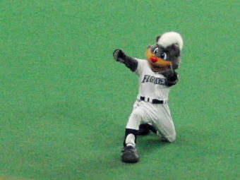 060325008.jpg