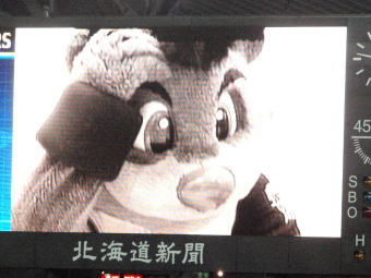 060325060.jpg