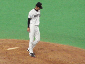 060606062.jpg